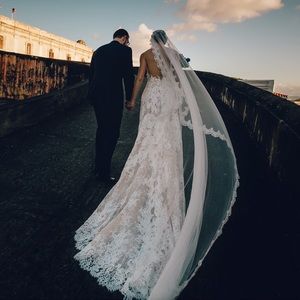 Atelier Pronovias Wedding Dress